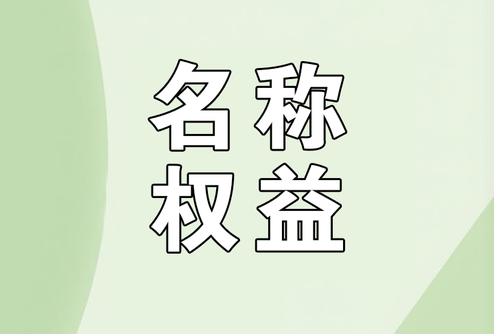 公司名称及其权益都有哪些？